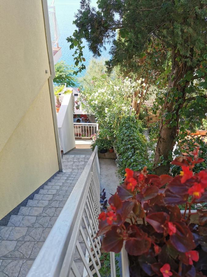Apartments Ljiljana Клек Экстерьер фото